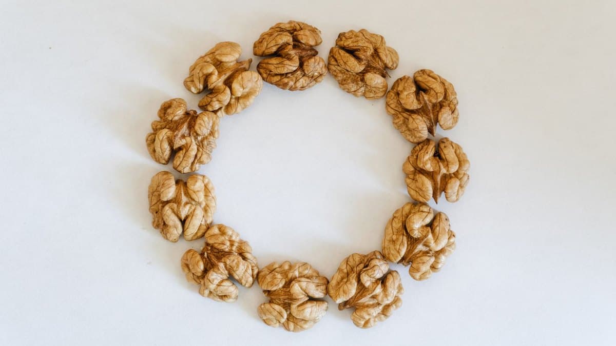 Best Supplements for Memory and Focus: An Honest, Human Guide